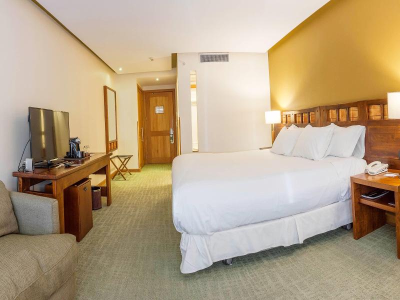 Wyndham Puerto Varas Pettra image