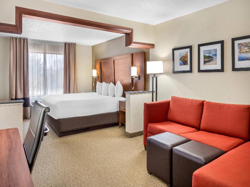 Comfort Suites Grand Rapids North image