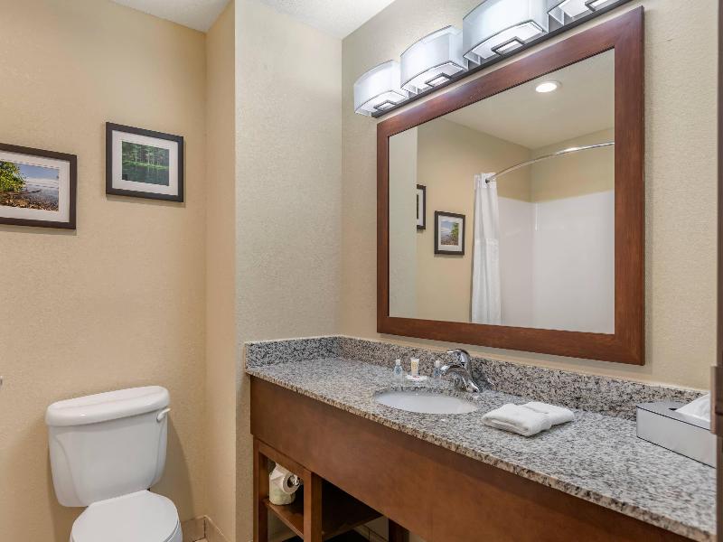 Comfort Suites Grand Rapids North image
