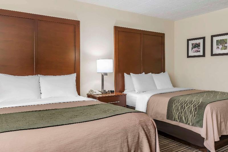 Comfort Inn - Pocono Mountain image