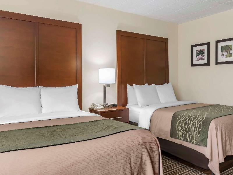 Comfort Inn - Pocono Mountain image