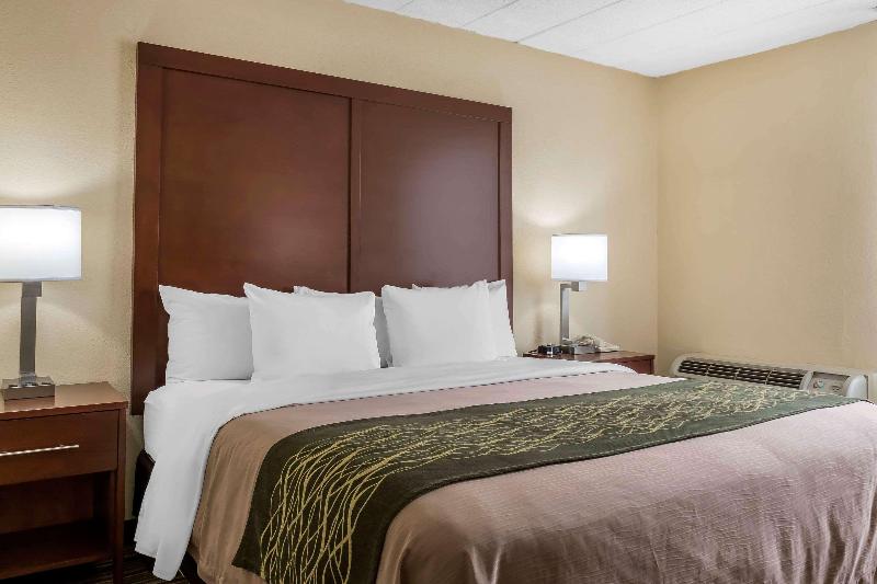 Comfort Inn - Pocono Mountain image