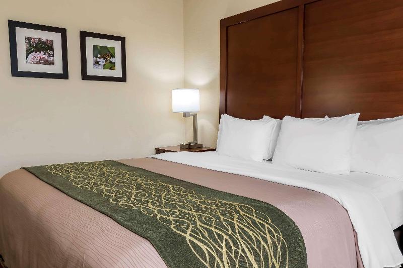 Comfort Inn - Pocono Mountain image