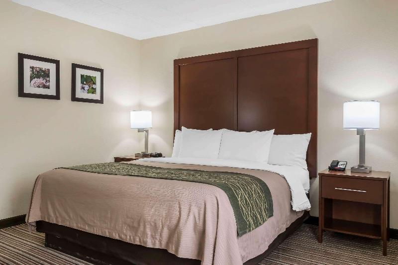 Comfort Inn - Pocono Mountain image
