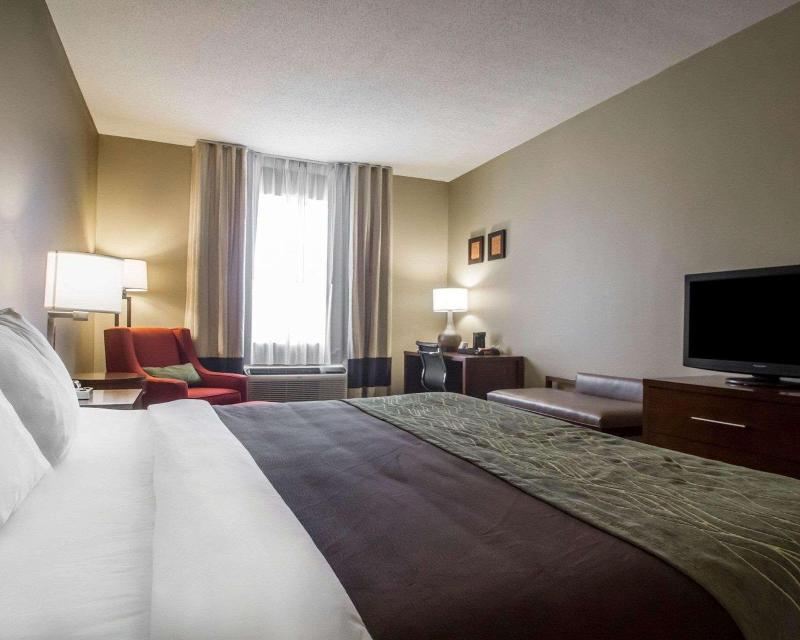 Comfort Inn Amite City image