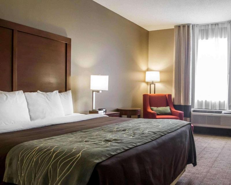 Comfort Inn Amite City image