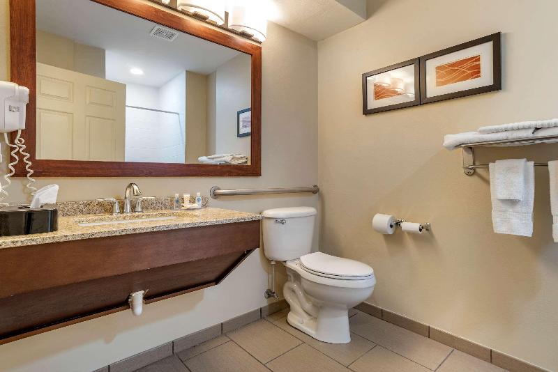 Comfort Inn Amite City image