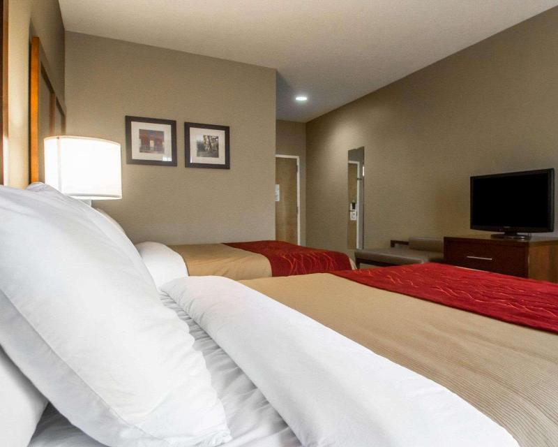 Comfort Inn Amite City image