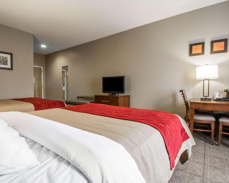 Comfort Inn Amite City image