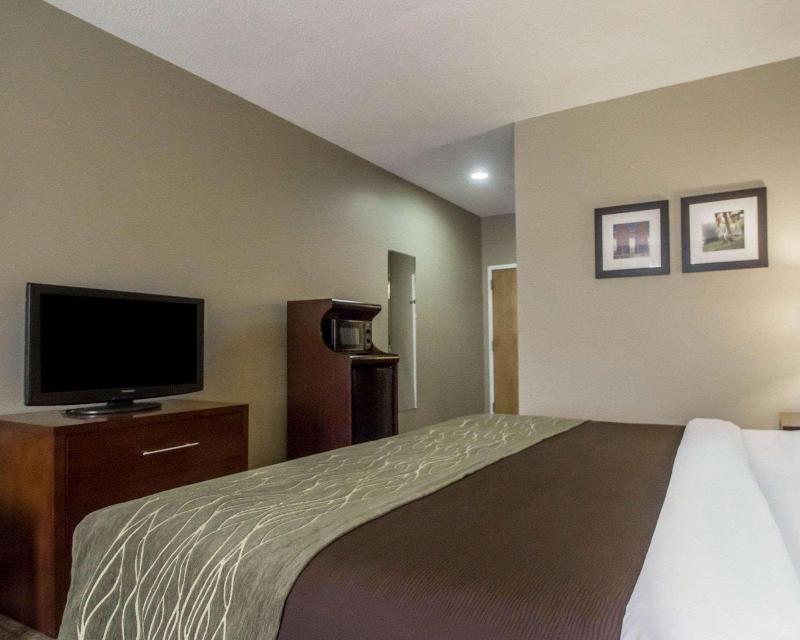 Comfort Inn Amite City image