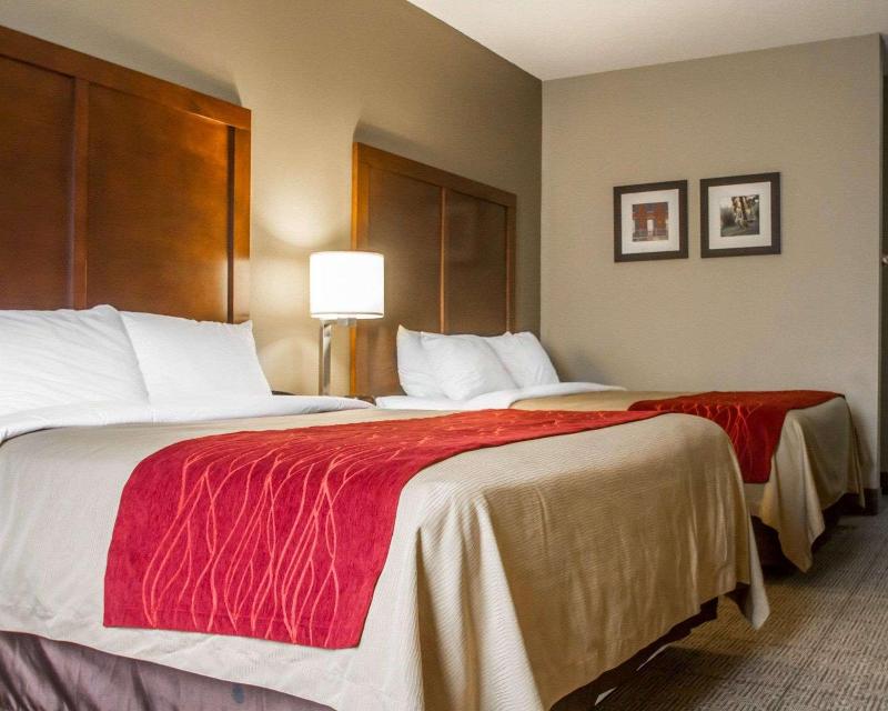 Comfort Inn Amite City image