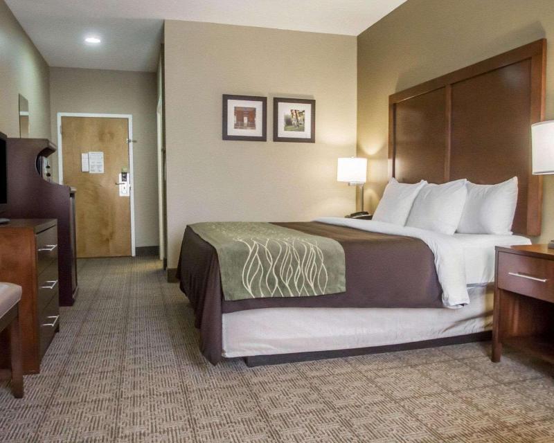 Comfort Inn Amite City image