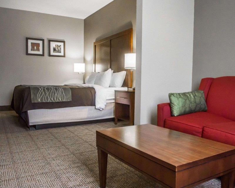 Comfort Inn Amite City image