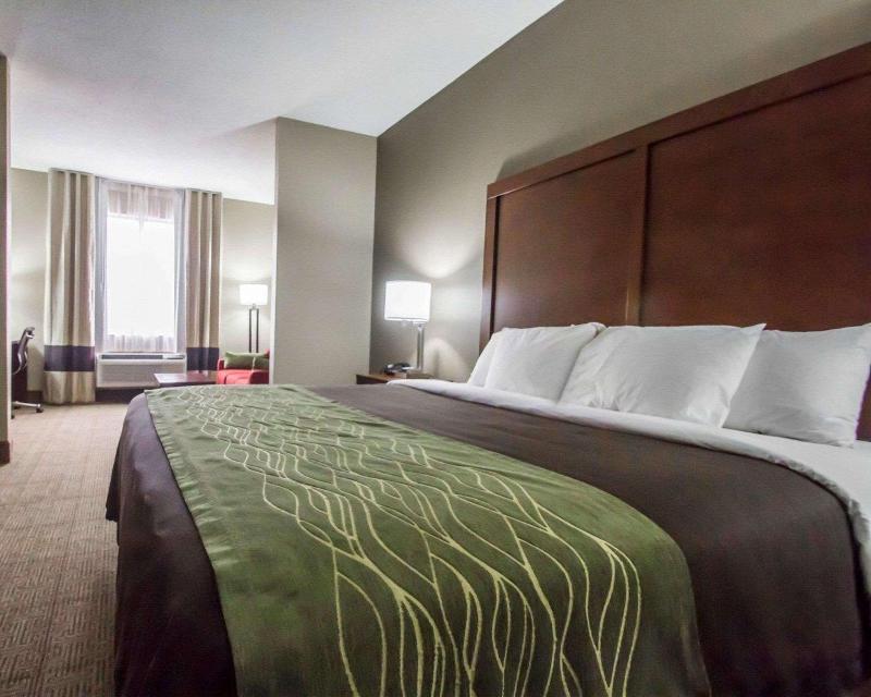 Comfort Inn Amite City image
