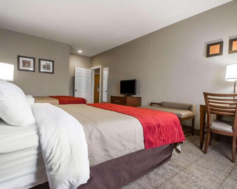 Comfort Inn Amite City image