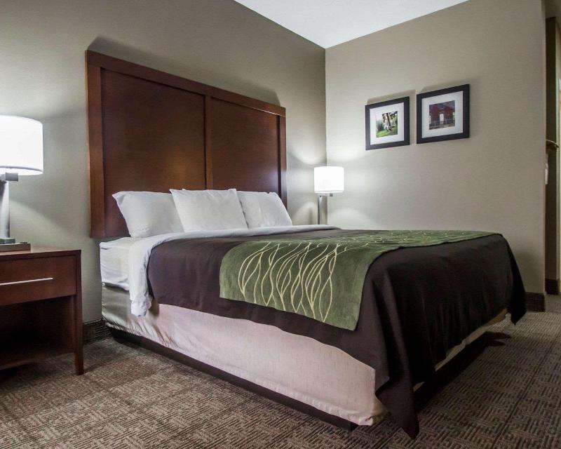 Comfort Inn Amite City image