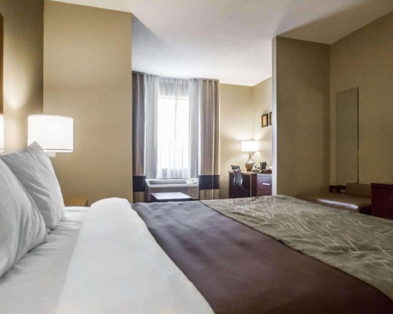 Comfort Inn Amite City image