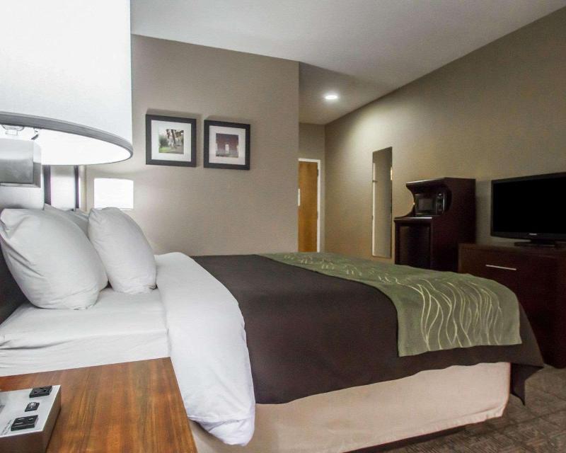 Comfort Inn Amite City image