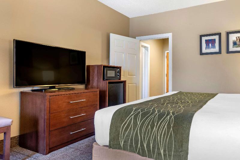 Comfort Inn Amite City image