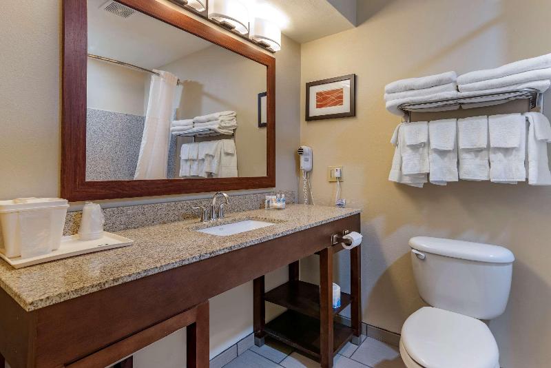 Comfort Inn Amite City image