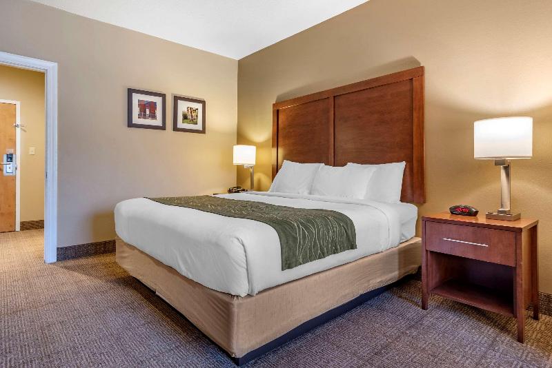 Comfort Inn Amite City image