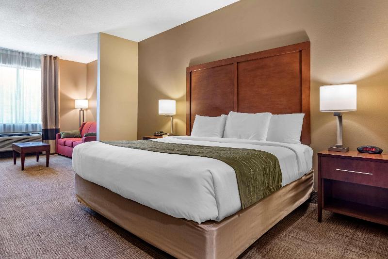 Comfort Inn Amite City image