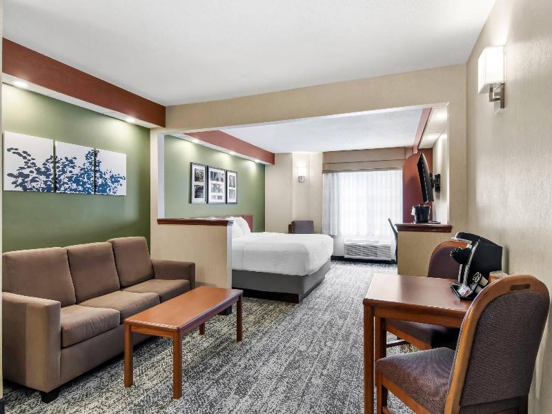 SUITE KING BED NON SMOKING — photo 10