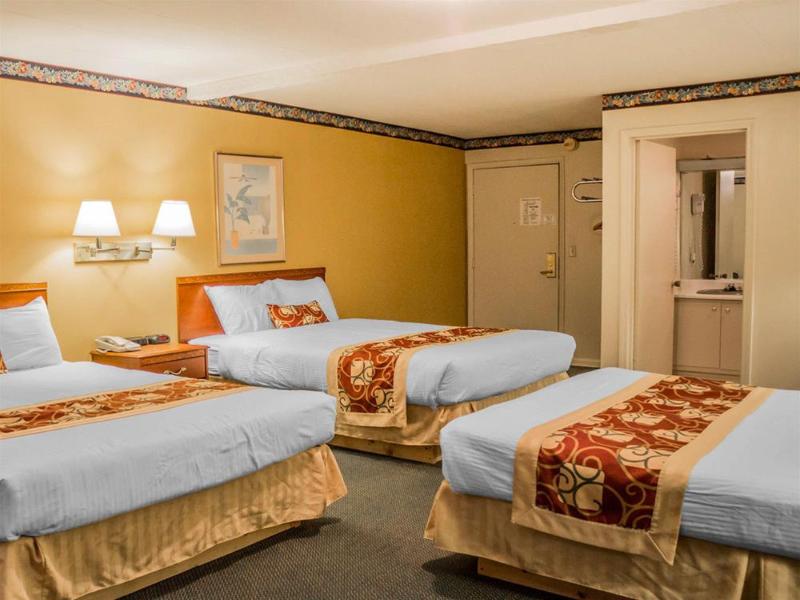 Rodeway Inn Kalkaska image