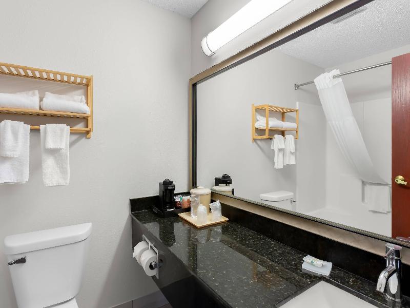 Quality Inn & Suites Niles image