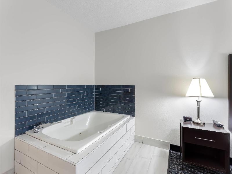 Quality Inn & Suites Niles image