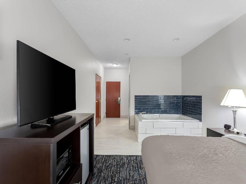 Quality Inn & Suites Niles image
