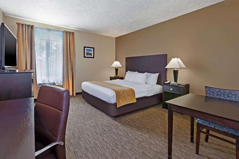 Comfort Inn Whitehall Near Michigan'S Adventure image