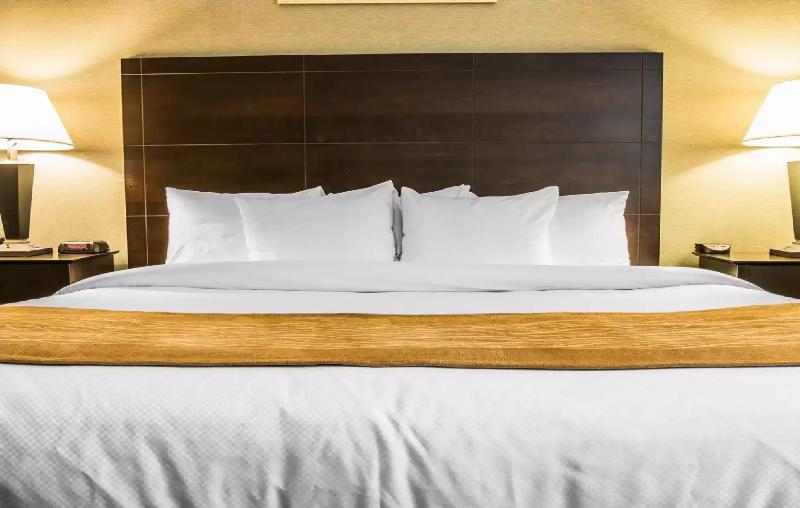 Comfort Inn Whitehall Near Michigan'S Adventure image