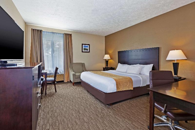 Comfort Inn Whitehall Near Michigan'S Adventure image