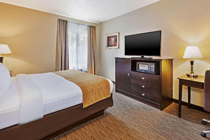 Comfort Inn Whitehall Near Michigan'S Adventure image
