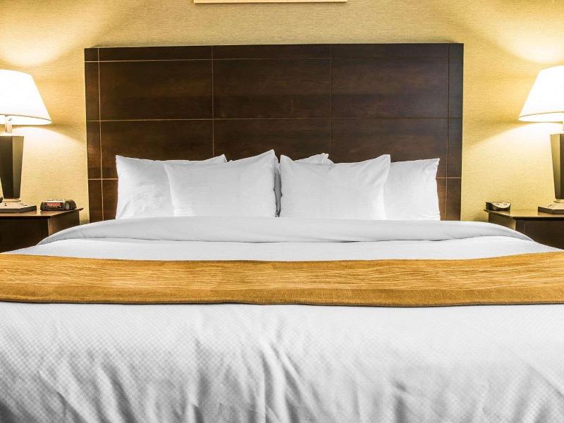 Comfort Inn Whitehall Near Michigan'S Adventure image