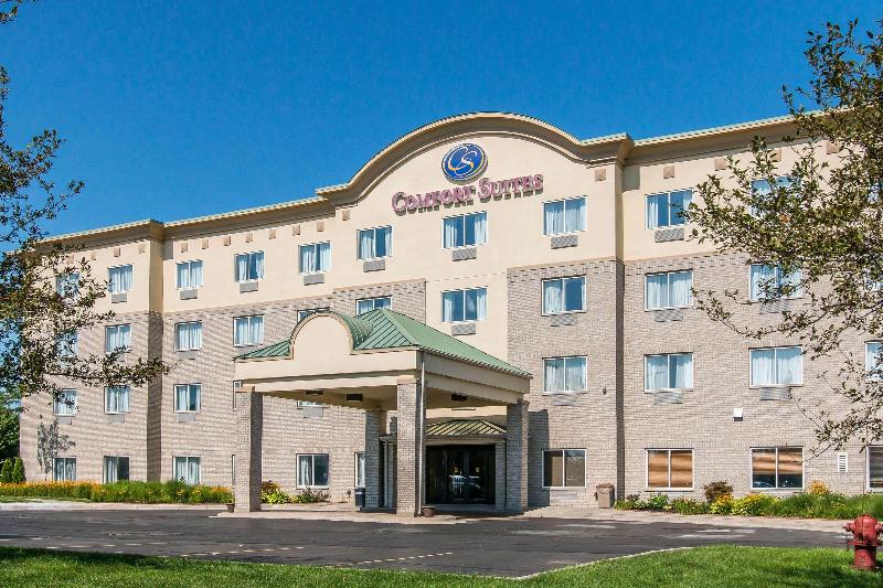 Comfort Suites Wixom image