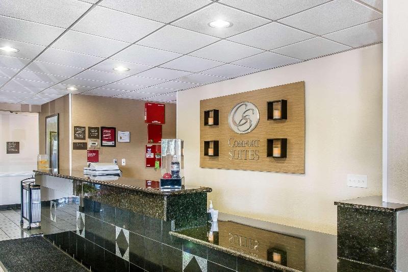 Comfort Suites Wixom image