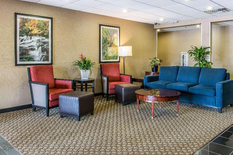 Comfort Suites Wixom image