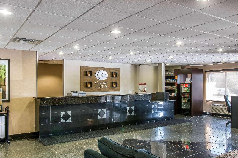 Comfort Suites Wixom image
