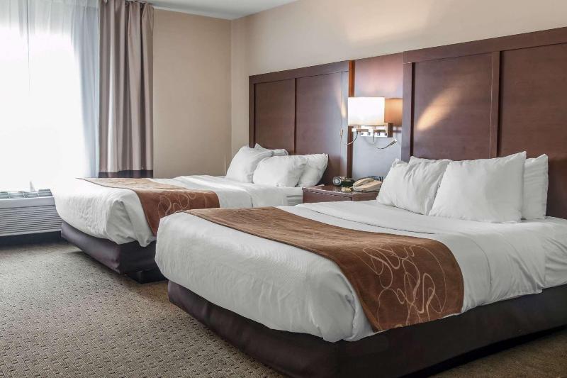 Comfort Suites Wixom image