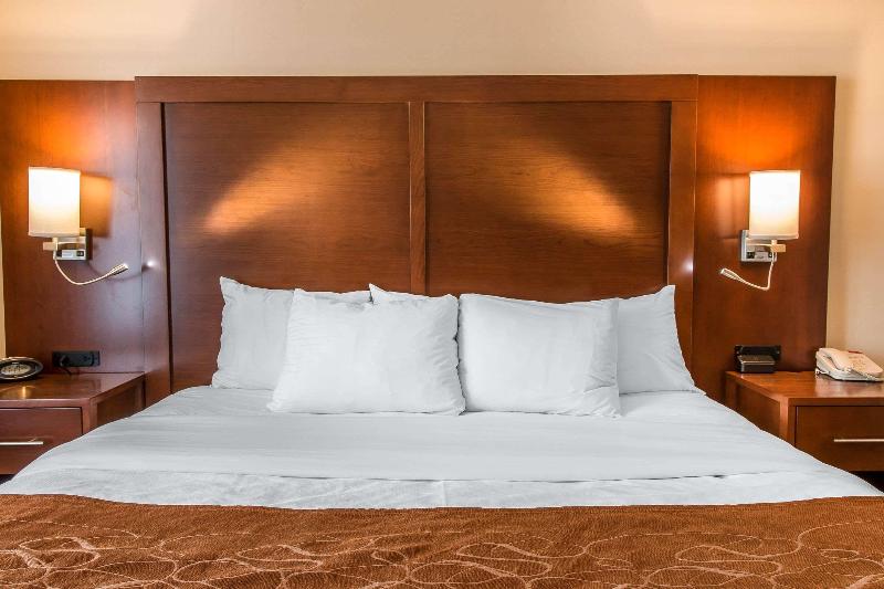 Comfort Suites Wixom image