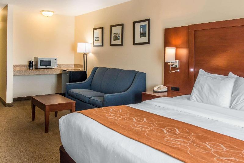 Comfort Suites Wixom image