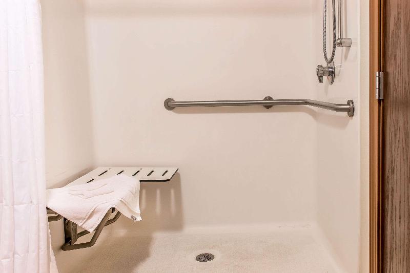 Comfort Suites Wixom image
