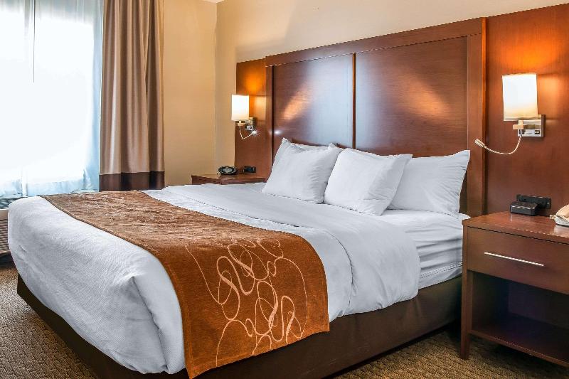 Comfort Suites Wixom image