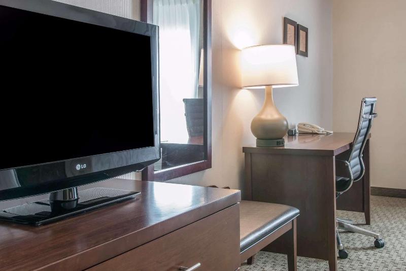 Comfort Suites Wixom image