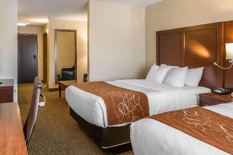 Comfort Suites Wixom image