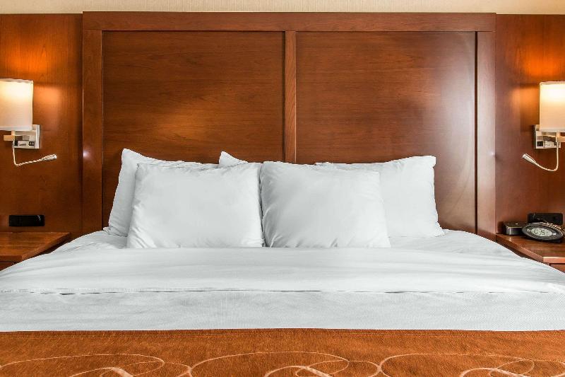 Comfort Suites Wixom image
