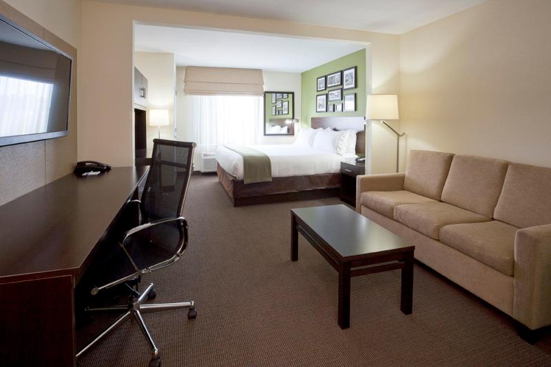 Holiday Inn Express & Suites Rogers — photo 25