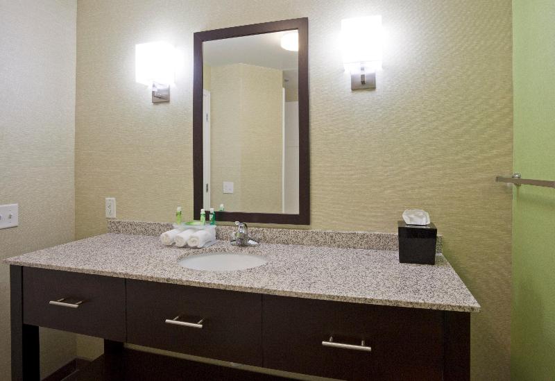 Holiday Inn Express & Suites Rogers — photo 69